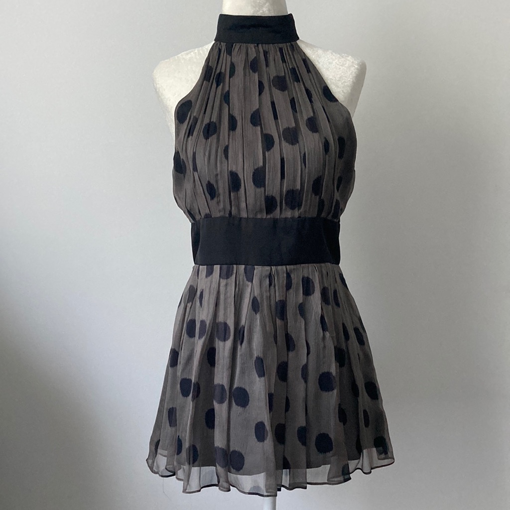 Zara Basic Polka Dot Top